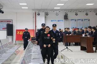 宝鸡陈仓区爆料案件最新,案情揭秘，警方全力侦破