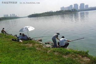 深圳钓鱼最新爆料,揭秘热门钓点与独家技巧分享